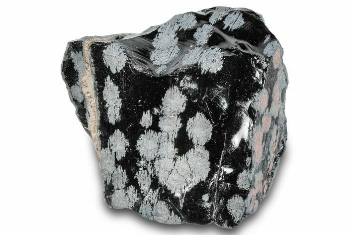 Snowflake Obsidian Section - Utah #279846
